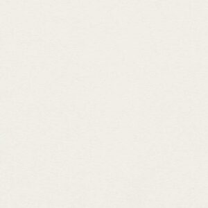 8 x 10 SS Sample Swatch SOLIDITY | COTTON