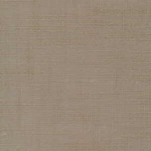 6 x 6 S. Solids Sample Swatch CATS ~ OLIVE