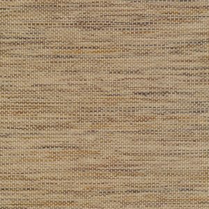 5 X 6 WSC Sample Swatch Bengal :: Tiger