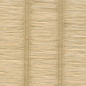 5 X 6 WSC Sample Swatch Cairo :: Sand