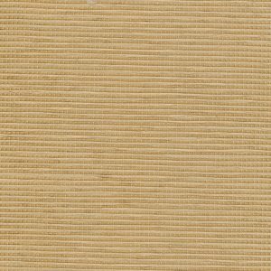 5 X 6 WSC Sample Swatch Jakarta :: Gold Coast