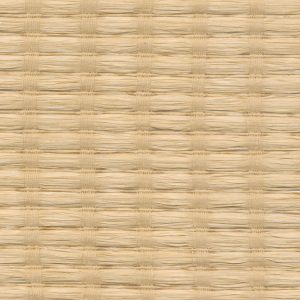 5 X 6 WSC Sample Swatch Seoul :: Oat