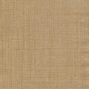 6 x 6 S. Solids Sample Swatch FIRST DATE ~ TAN