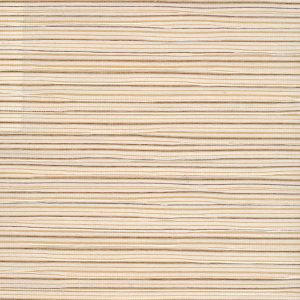 5 X 6 WSC Sample Swatch Beach :: Tan
